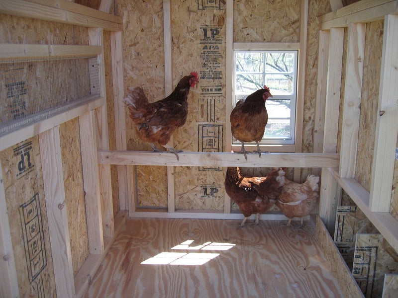 Little Cottage Co. Gambrel Barn Coop - Panelized Kit Little Cottage Co. Specialty Buildings